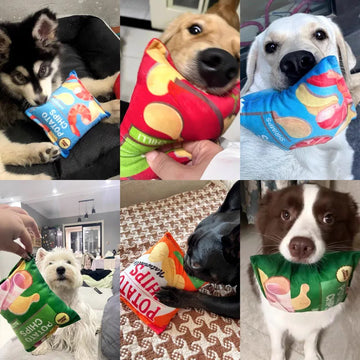 Funny Dog Crisps Squeaky Toys - Endless Fun: Fetch, Chew & Squeak in One Toy