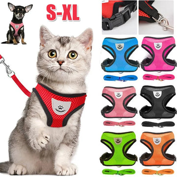 Breathable Mesh Cat & Dog - Harness Your Pet’s Comfort & Freedom