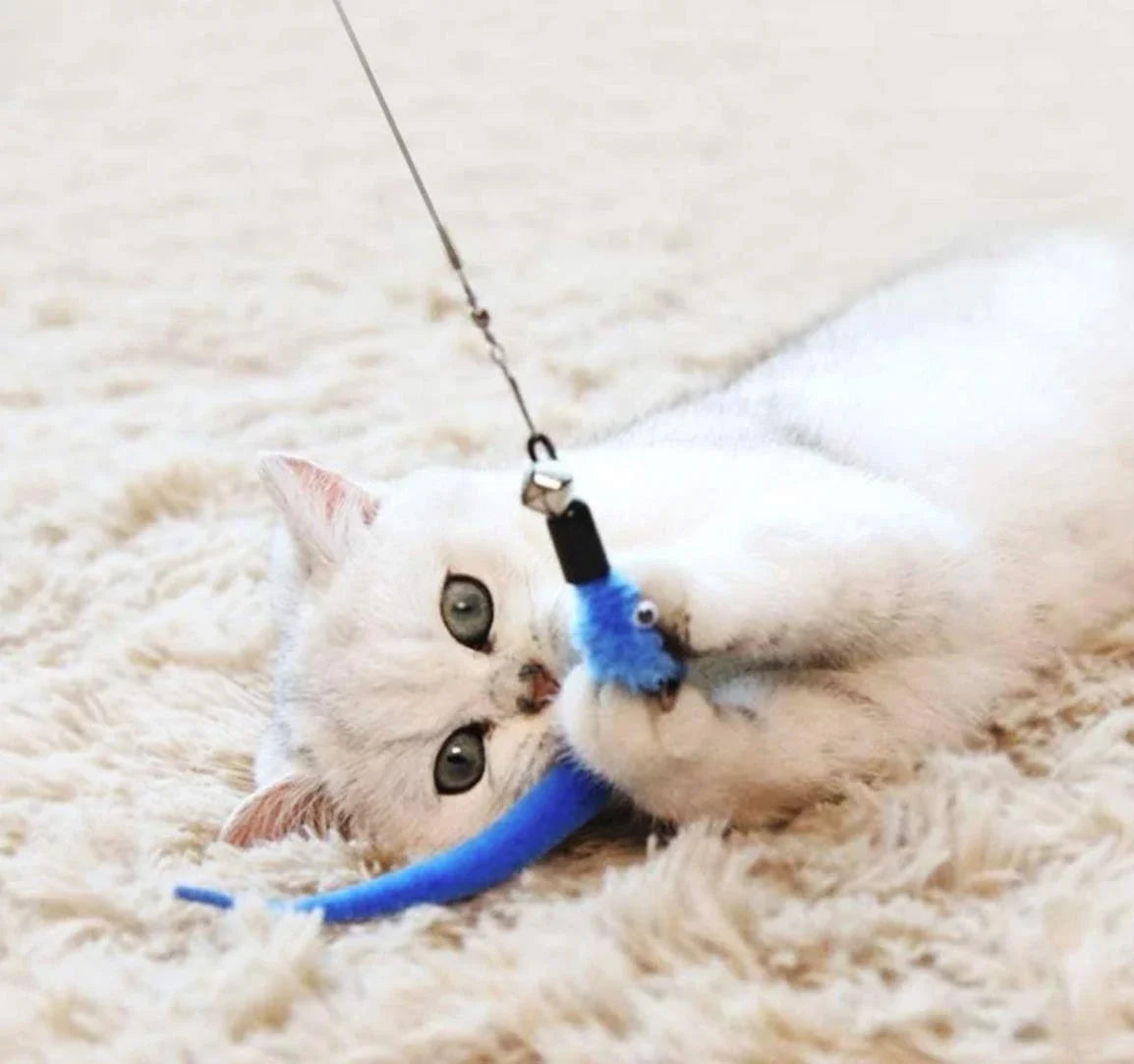 11-in-1 Retractable Cat Feather Toy Set - Retractable Wand, Endless Fun Anywhere