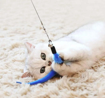 11-in-1 Retractable Cat Feather Toy Set - Retractable Wand, Endless Fun Anywhere